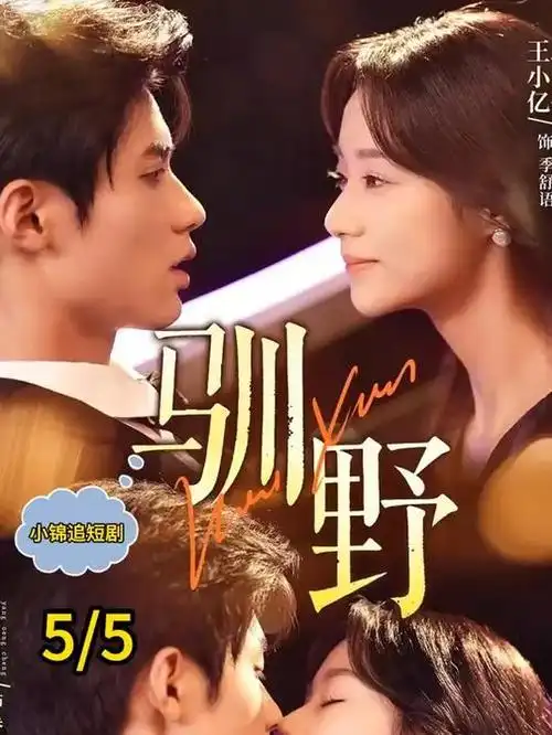 白塔谜案剧照